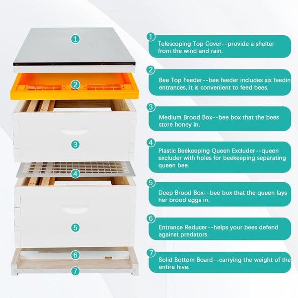 Bee Feeder Top Feeder for 10 Frame Hive Beekeeping Feeder for Commercial Hives