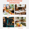Juice Extractor Electric Centrifugal Juicer Machine Heavy Duty Commercial Juicer