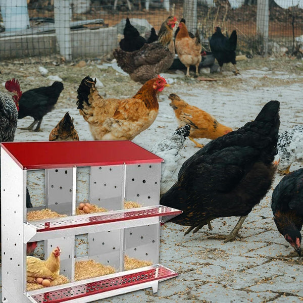4/6 Hole Chicken Nesting Boxes Wall Mounted Metal Chicken Coop Laying Boxes AU