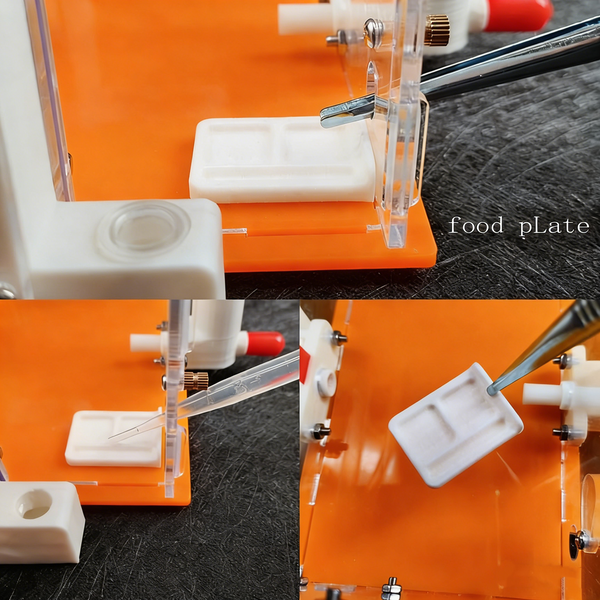 Ant Farm DIY Ant Nest 3D Acrylic ANT Workshop Educational Ant House For Gift AU
