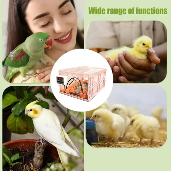 Portable Bird Brooder Box Chicken Coop Parrot Incubator Temperature Control