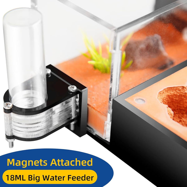 Ant Farm with External Water Tower and Garbage Area Soil Queen Breeding Area AU