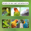 Acrylic Parrot Feeder Parrots Perch Stand Cage Automatic Bird Feeder Transparent