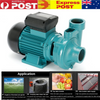 Water Pump Brushed Motor Booster Pump Flow Self-priming Pump 420L/min 3000RPM AU