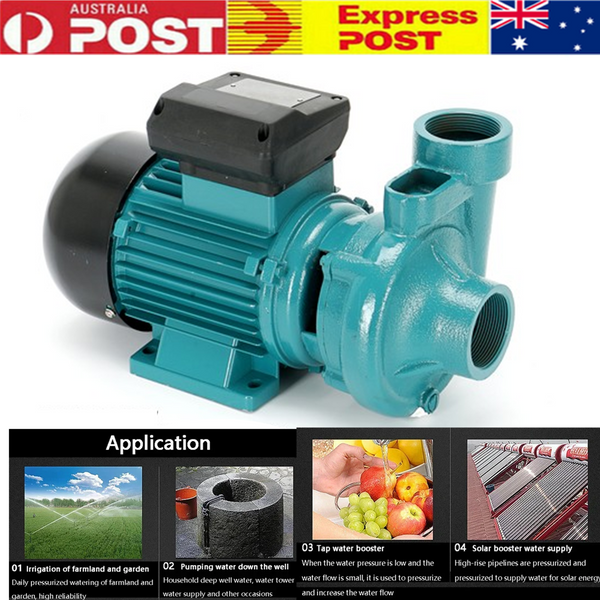 Water Pump Brushed Motor Booster Pump Flow Self-priming Pump 420L/min 3000RPM AU