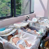 Clear Baby Bassinet Anti-Reflux Hospital Cot Newborn Crib w/ Wheels & Storage