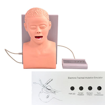 PVC Intubation Manikin adult Study Teaching Model Airway Management Trainer