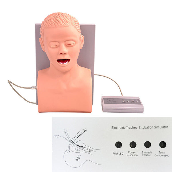 PVC Intubation Manikin adult Study Teaching Model Airway Management Trainer