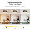 Crystal Chandelier with Fan Remote Control Dimmable 6-Speed 42" Ceiling Fan Lamp