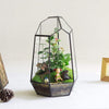 Glass Geometric Plant Terrarium Succulent & Air Planter Indoor Tabletop Decor
