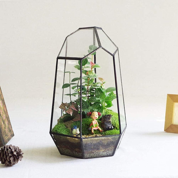 Glass Geometric Plant Terrarium Succulent & Air Planter Indoor Tabletop Decor