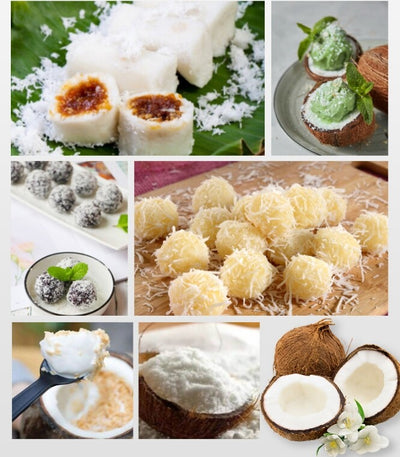 Coconut Meat Scraper Machine Stainless Steel Electric Coconut Processing Machine