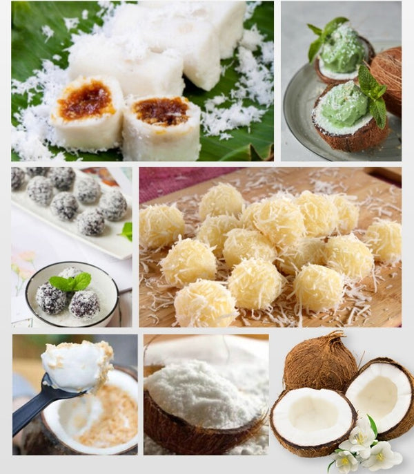 Coconut Meat Scraper Machine Stainless Steel Electric Coconut Processing Machine
