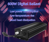 600W Magnetic Ballast Wing Reflector 600w HPS Lamp Hydroponics Grow Lighting Kit