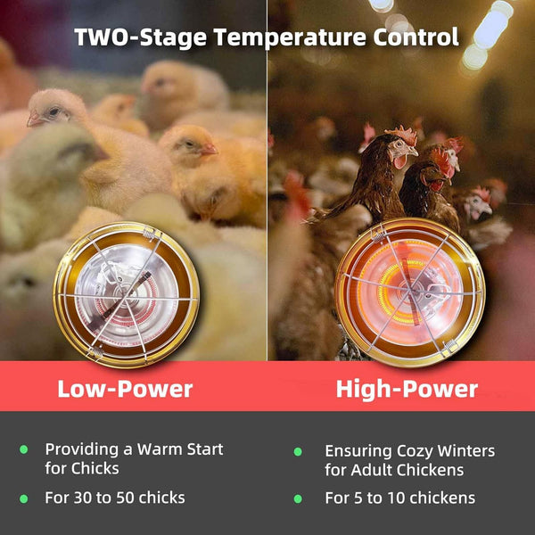 300W Heat Lamp for Chicken Coop Waterproof Brooder Heater for Chick,Duck,Poultry