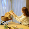 Adjustable Cat Desk Bed Wooden Suspension Desktop Cat Bed For Home Study Rooms