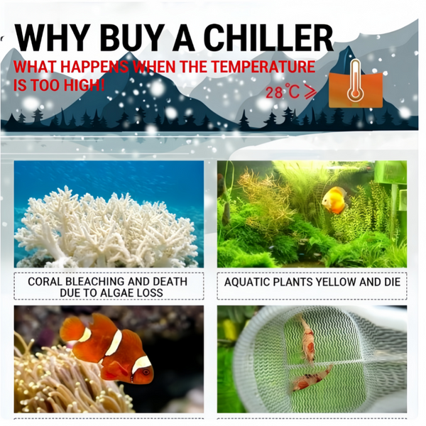 500L Aquarium Chiller 132gal Fish Tank Cooler 1/2 HP Water Chiller AU Stock
