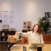 Adjustable Cat Desk Bed Wooden Suspension Desktop Cat Bed For Home Study Rooms