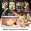 80CM Chick Brooder Box Rearing Poultry Feeding Box Keep Warm Up to 35 Chicks