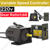 220V AC Gear Motor Variable Speed Controller Electric Motor Speed Controller