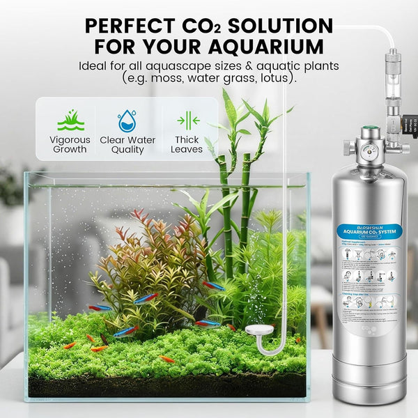 5L Aquarium CO2 Generator System Quick-Release for Aquarium Plants Tanks AU