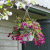 24PCS Plastic Hanging Plant Pots 17cm Hanging Plant Containers Hanging Planters