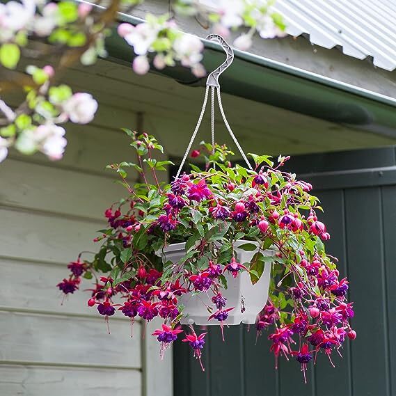 24PCS Plastic Hanging Plant Pots 17cm Hanging Plant Containers Hanging Planters