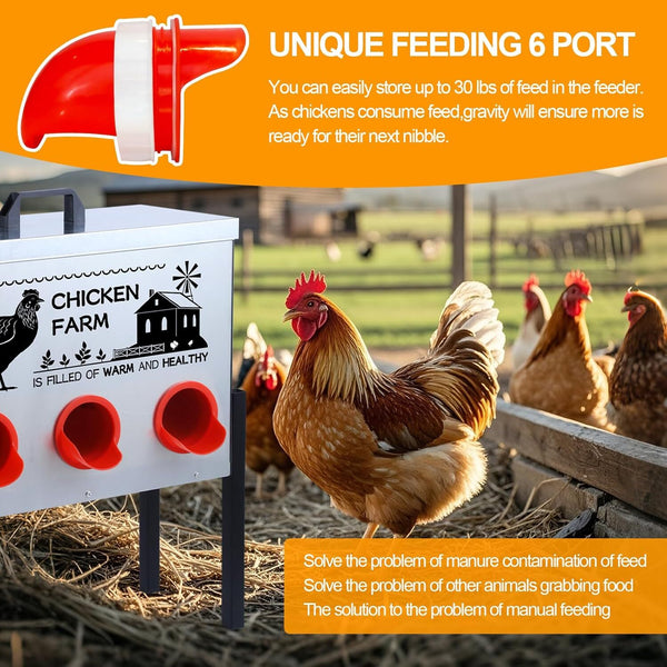 Automatic Poultry Feeder Box 30 lbs Turkeys Chicken Feeder Box Weatherproof