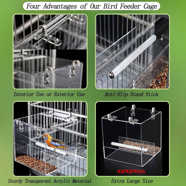 Acrylic Parrot Feeder Parrots Perch Stand Cage Automatic Bird Feeder Transparent