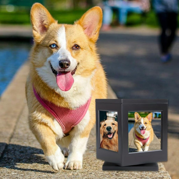 Pet Memorial Urns for Dogs or Cats Ashes Large Wooden Funeral with Photo Frame