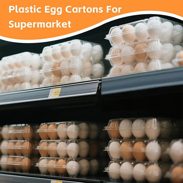 100X Large Egg Cartons 6/12 Eggs Holder PET Empty Chicken Egg Tray Freezer Safe