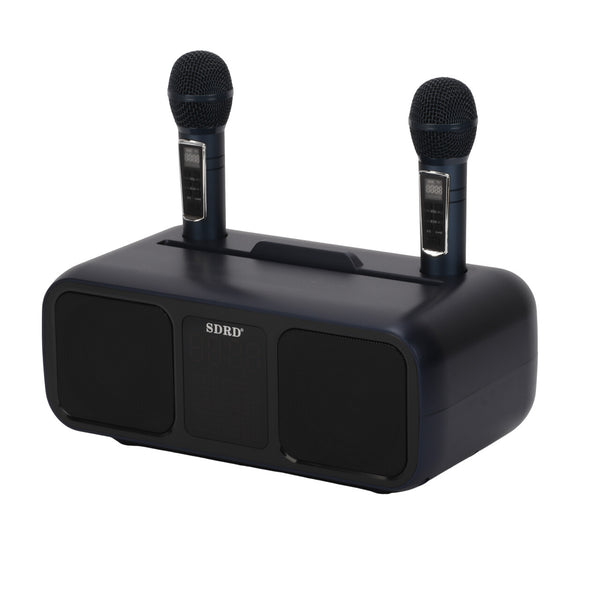 Bluetooth Karaoke Speaker & 2 Wireless Microphones Rechargeable Karaoke Machine
