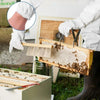 12pcs Beekeeping Equipment Beekeeper Suit Protective Tools with Gloves Beekeeper