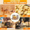 25W Chick Brooder Heating Plate Chicken Coop Heater Warmer 10-65℃ 3-Sided AU