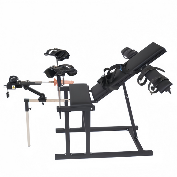 Bondage Training Chair Sex Machine Toy Sex Furniture Steel Frame Restraint Tool