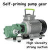 Heavy Duty 220V Diesel Biodiesel Oil Fuel Gear Transfer Pump 75L/min 750W