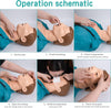 CPR Manikin Training Kit Teaching Model Adult First Aid Learning with Mini AED