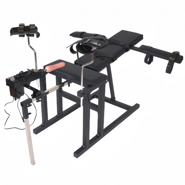 Bondage Training Chair Sex Machine Toy Sex Furniture Steel Frame Restraint Tool