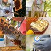 12pcs Beekeeping Equipment Beekeeper Suit Protective Tools with Gloves Beekeeper