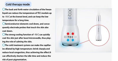 Portable Dcool Cryo Cool Electroporation EMS Mesotherapy Machine Face Skin Lift