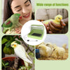 Bird Incubator Warmer Baby Chick Brooder Three-Speed Heat Plate Poultry Habitat