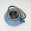 900ml Cast Iron Kettle Teapot Tea Pot Infuser Strainer Black Japanese Style