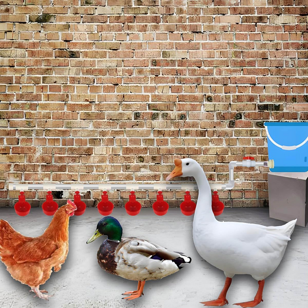 Auto Chicken Waterer System Chick Duck Watering Feeder PVC Pipelines 8 Cups AU