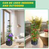 2 Packs Raised Garden Bed Tomato Planter Tomato Cages Climbing Vegetables Plant