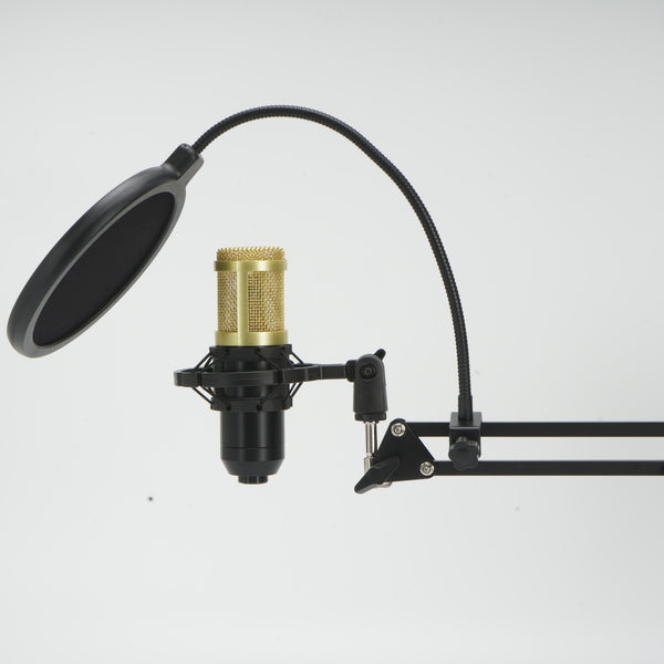 BM800 Home Studio Recording Kit Condenser Microphone Set w/Adjustable Stand