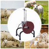 220V Professional Electric Knife Sharpener Goat Shears Knife Grinding Machine AU