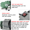 Heavy Duty 220V Diesel Biodiesel Oil Fuel Gear Transfer Pump 75L/min 750W