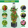 2 Packs Raised Garden Bed Tomato Planter Tomato Cages Climbing Vegetables Plant