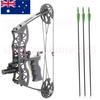 40lbs Hunting Compound Bow Arrow Archery Target Shooting With Archery Sights