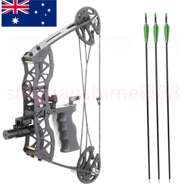 40lbs Hunting Compound Bow Arrow Archery Target Shooting With Archery Sights